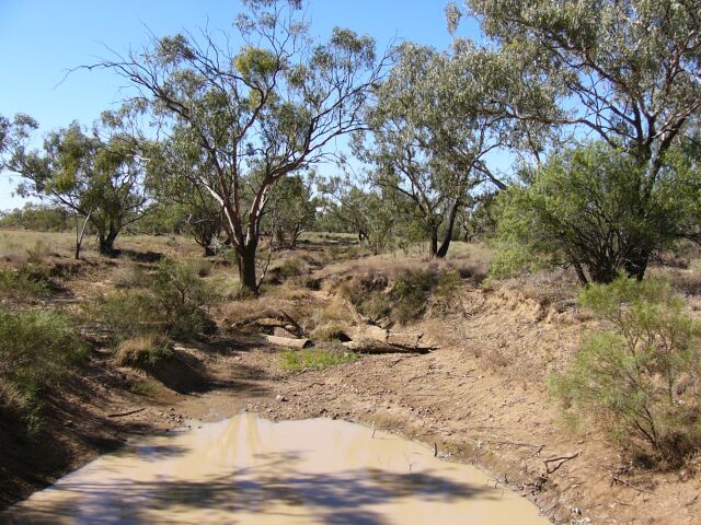 Quilpie Channel